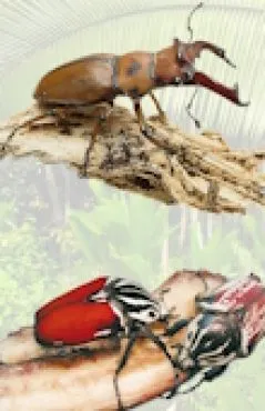 entomologisches Zubehör