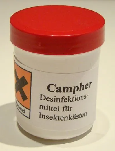 Campher