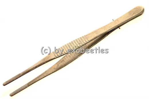 Pinzette ( Spitze rund, flach )