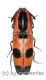 Abiphis insignis ( 20 – 24 )