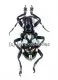 Acronia alboplagiata