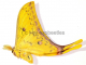 Actias sinensis