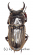 Aegus spec. #4 ( 15 – 19 )