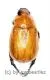 Anomale spec. #6 ( 10 – 19 )