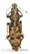 Anthribidae spec. #14 ( 15 – 19 )
