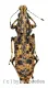 Anthribidae spec. #14 ( 15 – 19 )