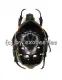 Bothrorrhina ochreata ( 20 - 29 )