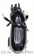 Ceracupes arrowi ( 15 – 19 )