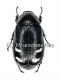 Dermolepida pica