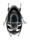 Dermolepida pica