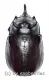 Eupatorus siamensis ( 50 – 54 )