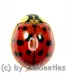 Harmonia axyridis ( Marienkäfer ) ( Mix )