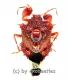 Hemiptera spec. #20 ( 10 – 14 )