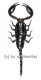 Heterometrus laoticus ( 130 – 134 )