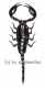 Heterometrus laoticus ( 100 – 104 ) A1-