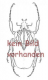 Cerambycidae spec. #76 ( 25 - 29 ) A1-