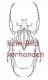 Cerambycidae spec. #76 ( 25 - 29 ) A1-