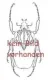 Analleucosma spec. ( 10 – 14 )