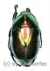 Macraspis chrysis ( 20 – 29 ) A2
