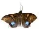 Moths spec. #4 A2
