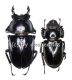 Neolucanus maximus maximus ( M 55 - 59 )