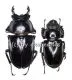 Neolucanus maximus maximus ( M 55 - 59 )