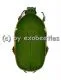 Pachnodella ( Marmylidia ) marginella ( 20 - 24 )