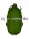 Pachnodella ( Marmylidia ) marginella ( 20 - 24 )