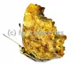 Polygonia c-album A2