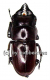 Prosopocoilus antilopus antilopus ( 20 - 24 )
