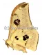 Pseudobunaea spec. A1/A-