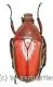 Rhomborrhina ( Pseudorhomborrhina ) fuscipes ( rot / grün ) ( 20 – 24 )