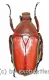 Rhomborrhina ( Pseudorhomborrhina ) fuscipes ( rot / grün ) ( 20 – 24 )