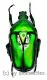 Rhomborrhina resplendens ( 30 – 39 ) A1-