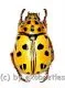 Rutelidae spec. #29 ( 15 – 19 )