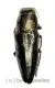 Sphenoptera spec. ( 10 – 14 )
