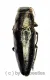 Sphenoptera spec. ( 10 – 14 )