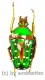Stephanorrhina guttata ashantica