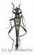 Teratoleptura mirabilis shibatai ( 25 – 29 )