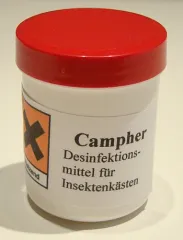 Campher